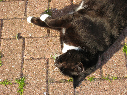 It's a hard life....